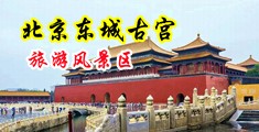 骚B在我鸡巴上插视频中国北京-东城古宫旅游风景区